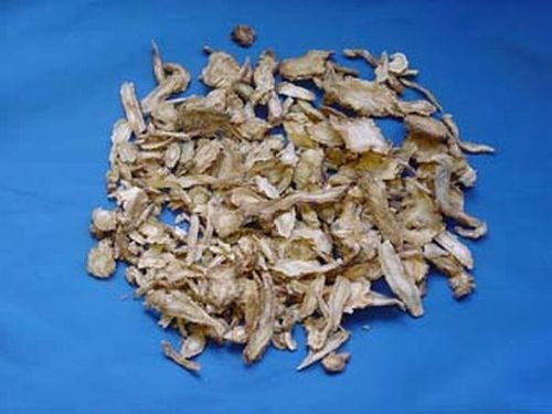 Angelica sinensis, Rd. - Chinese Angelica Root - DANG GUI