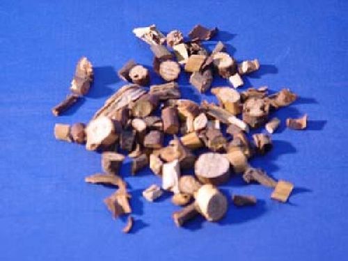 Cinnamomum, Ramulus - Zimtbaumzweige - GUI ZHI