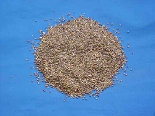 Cuscuta, Semen - Chinese Dodder Seeds - TU SI ZI