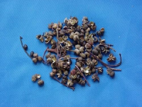 Zanthoxylum, Pericarpium - Sichuan Peppercorn - HUA JIAO