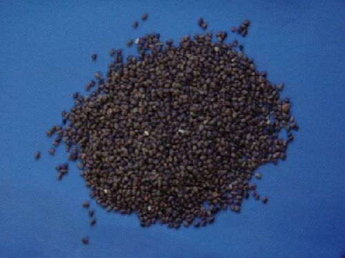 Astragalus, Semen - Flattened Milk Vetch - SHA YUAN ZI