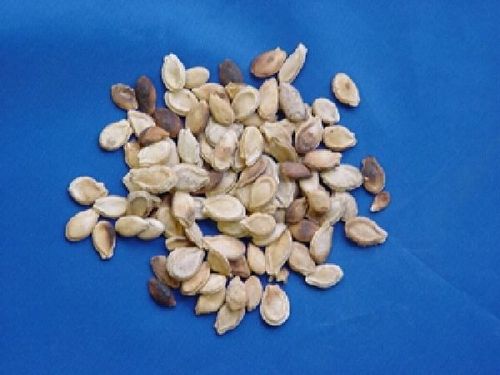 Benincasa, Semen - Wax Gourd Seed - DONG GUA ZI
